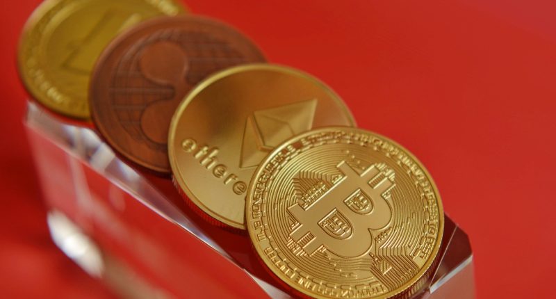 next big cryptocurrency - Short Url Media