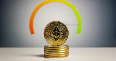 top cryptocurrencies to invest in - Short Url Media