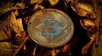 ai crypto projects - Short Url Media
