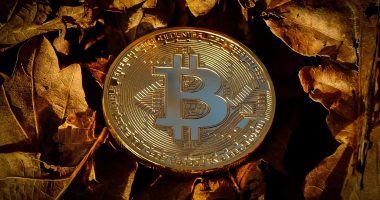 ai crypto projects - Short Url Media