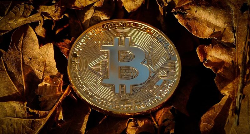 ai crypto projects - Short Url Media